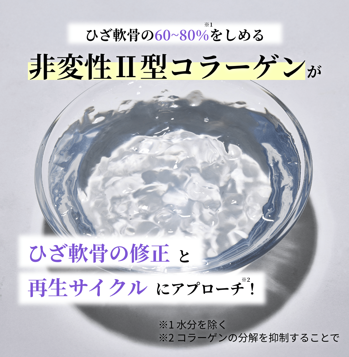 ひざ軟骨の修正と再生サイクルにアプローチ！