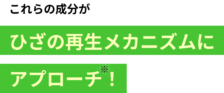 これらの成分がひざの再生メカニズムにアプローチ！