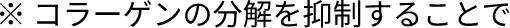※ コラーゲンの分解を抑制することで